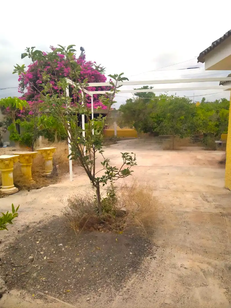 Casa o xalet en venda en Murcia amb Jardí privat