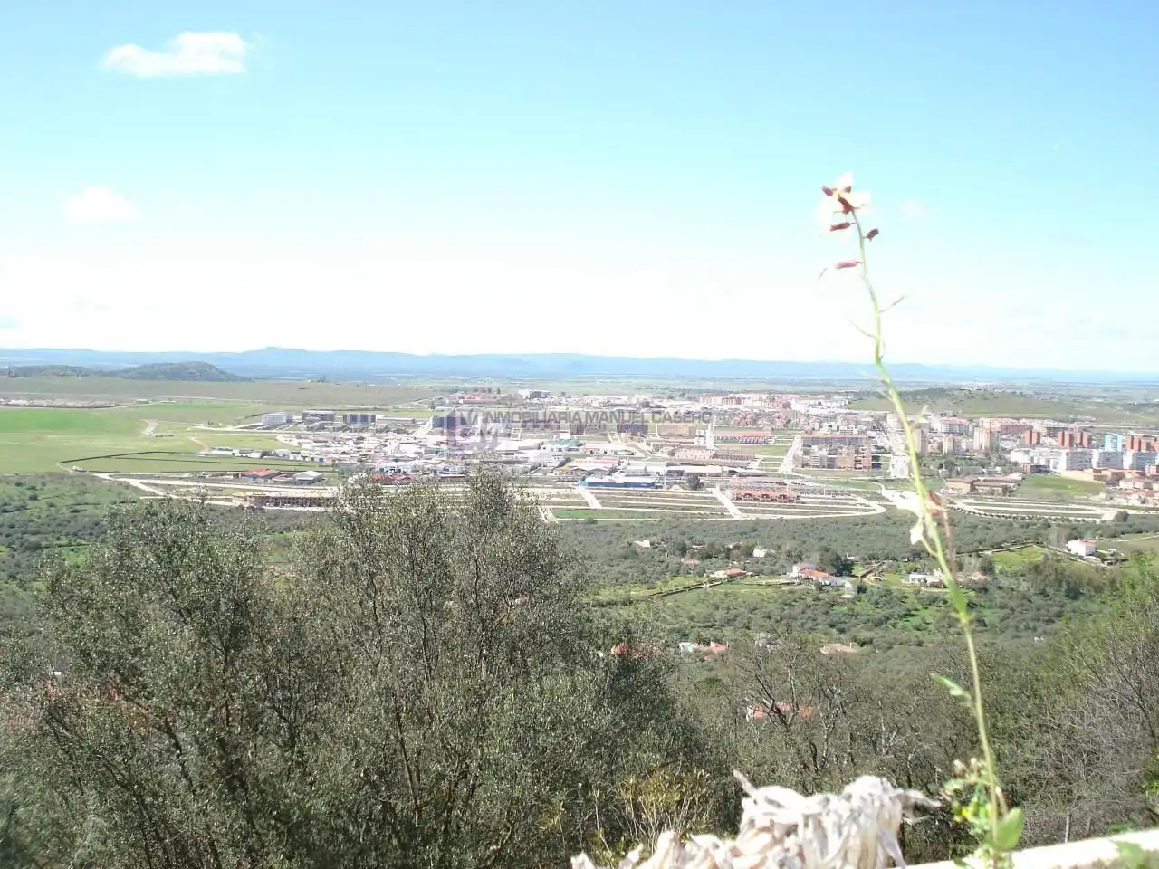 Vista exterior de Casa o chalet en venta en Cáceres con Calefacción, Jardín privado y Piscina
