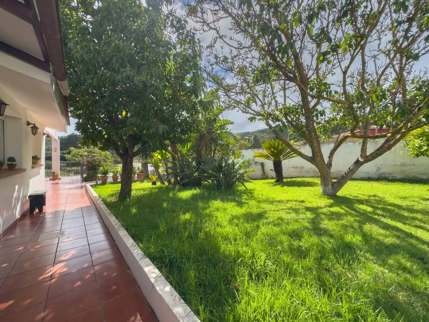 Jardín de Casa o chalet en venta en El Rosario con Calefacción, Jardín privado y Terraza