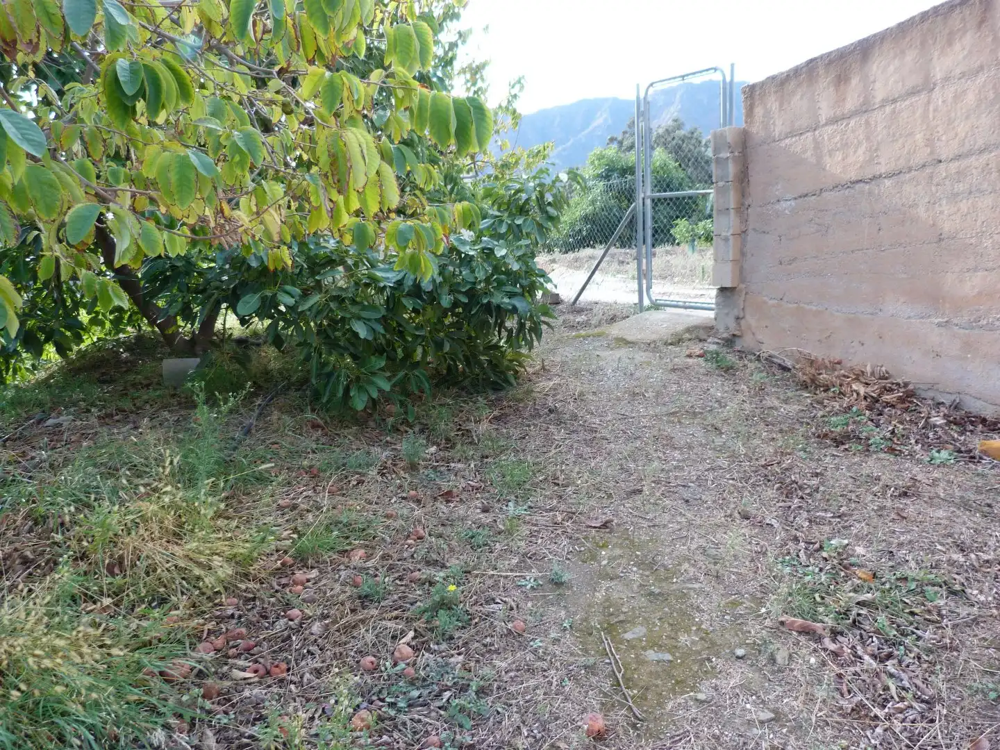 Casa rústica en venta en Los Guájares, imagen 10