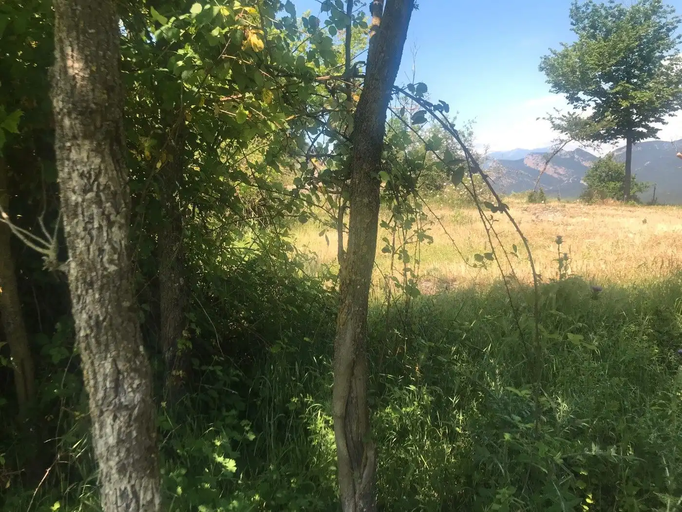 Wohnbaugrundstück zum Verkauf in Borredà, imagen 13