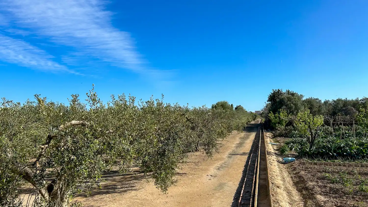 Terreny rústic en venda a Sant Jaume d'Enveja, imagen 5