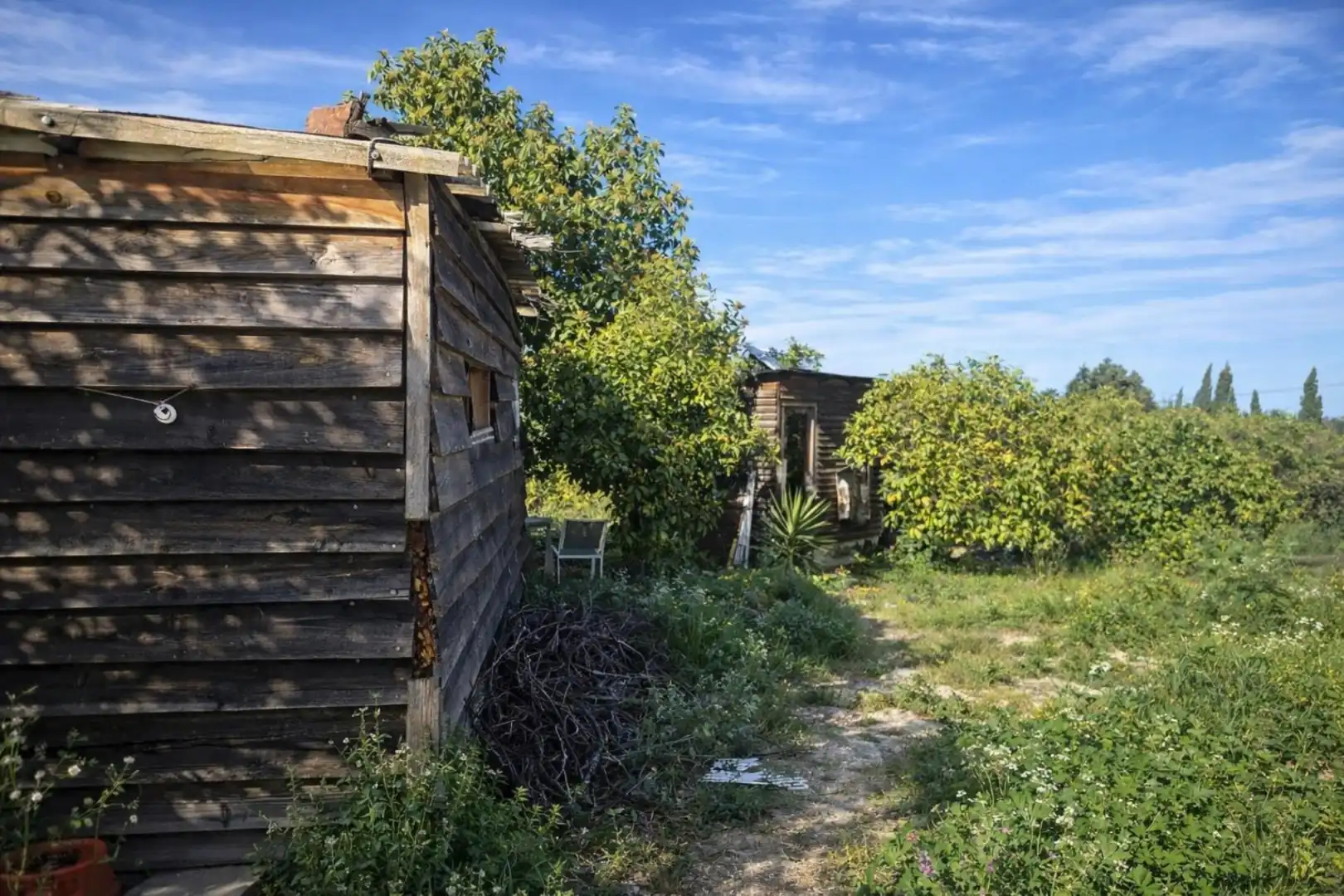 Land for sale in Benimeli