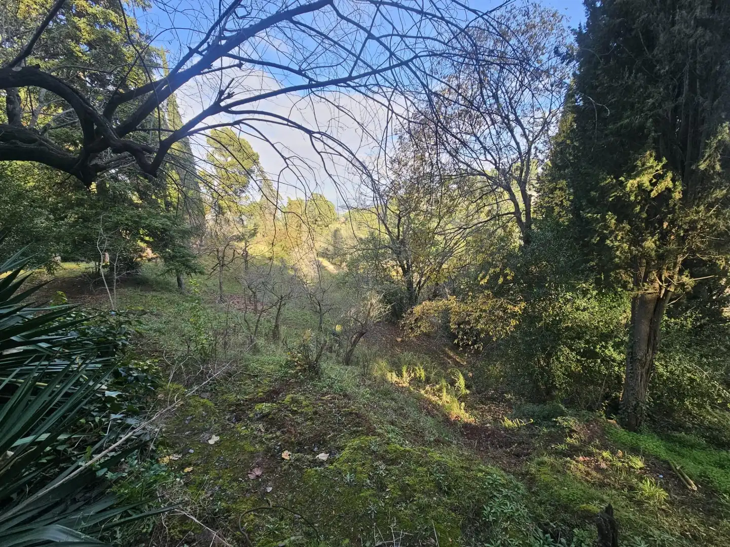 Finca rústica en venta en Castellví de Rosanes