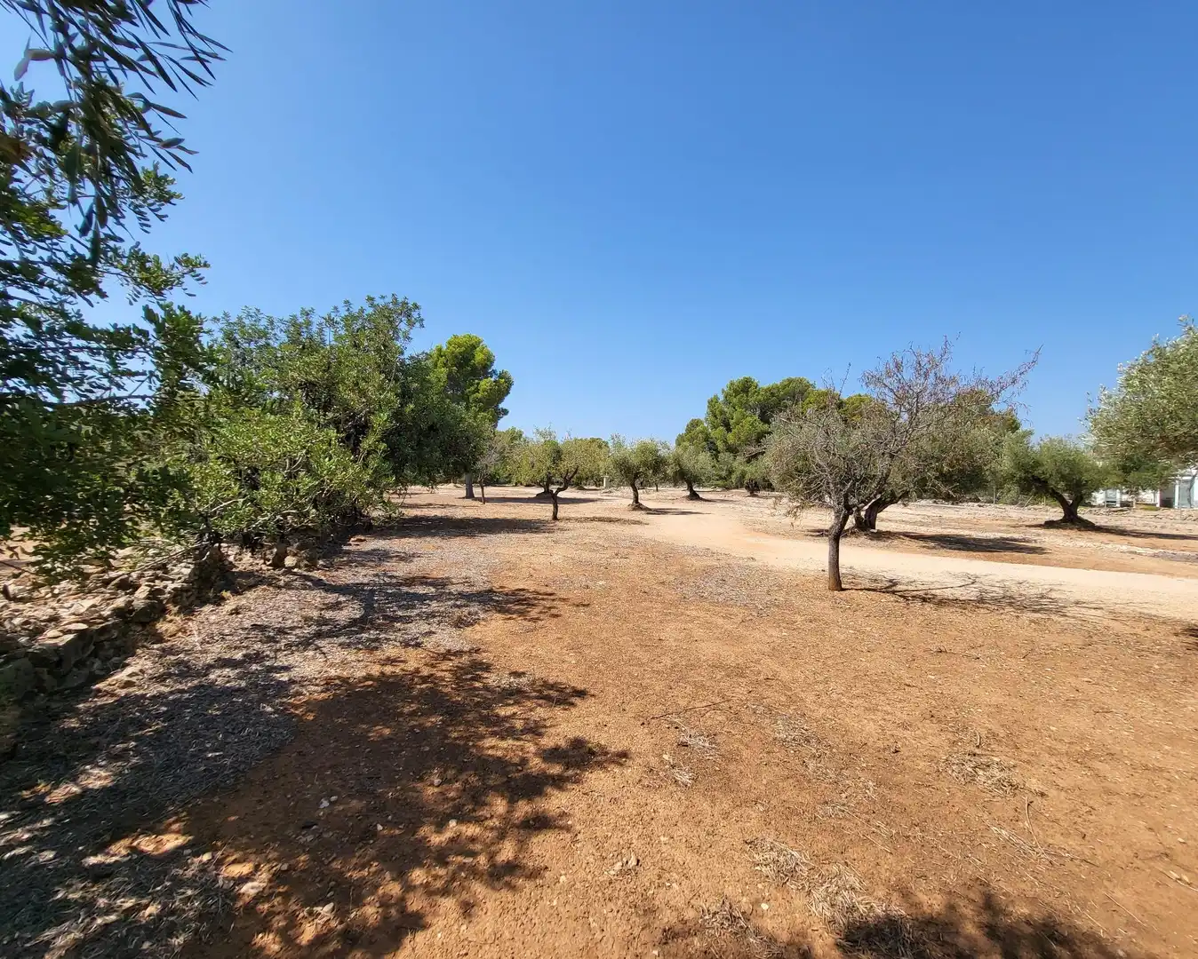 Landhaus mit Garten zum Verkauf in L'Ametlla de Mar pueblo, imagen 41