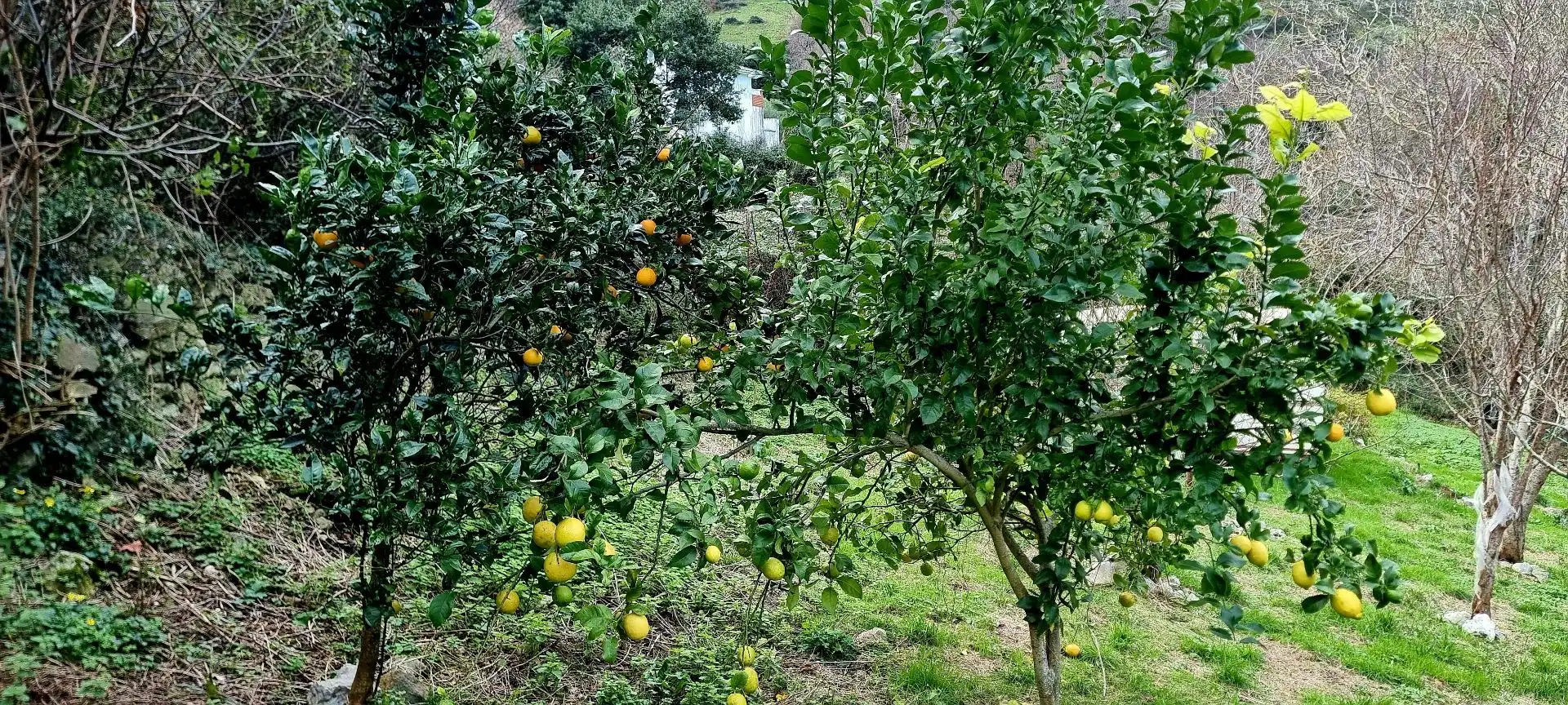 Terreno en venta en Oriñón - Allendelagua
