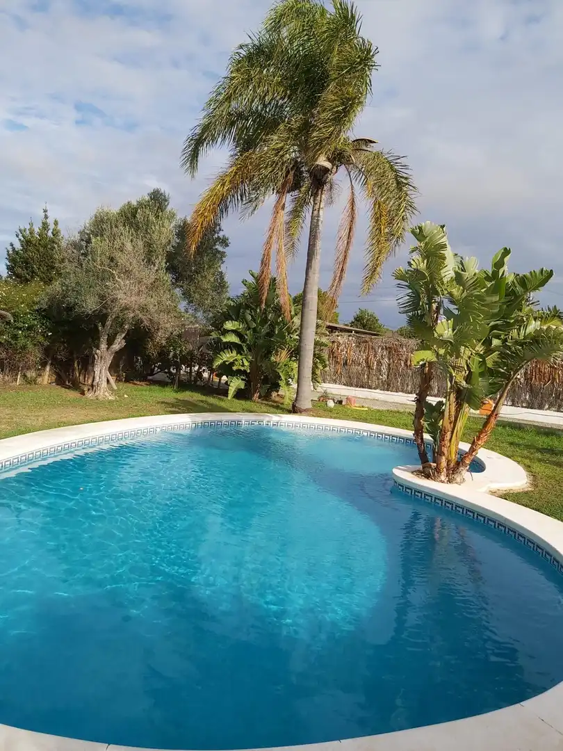 Piscina de Casa o xalet en venda en Puerto Real amb Jardí privat, Piscina i Alarma