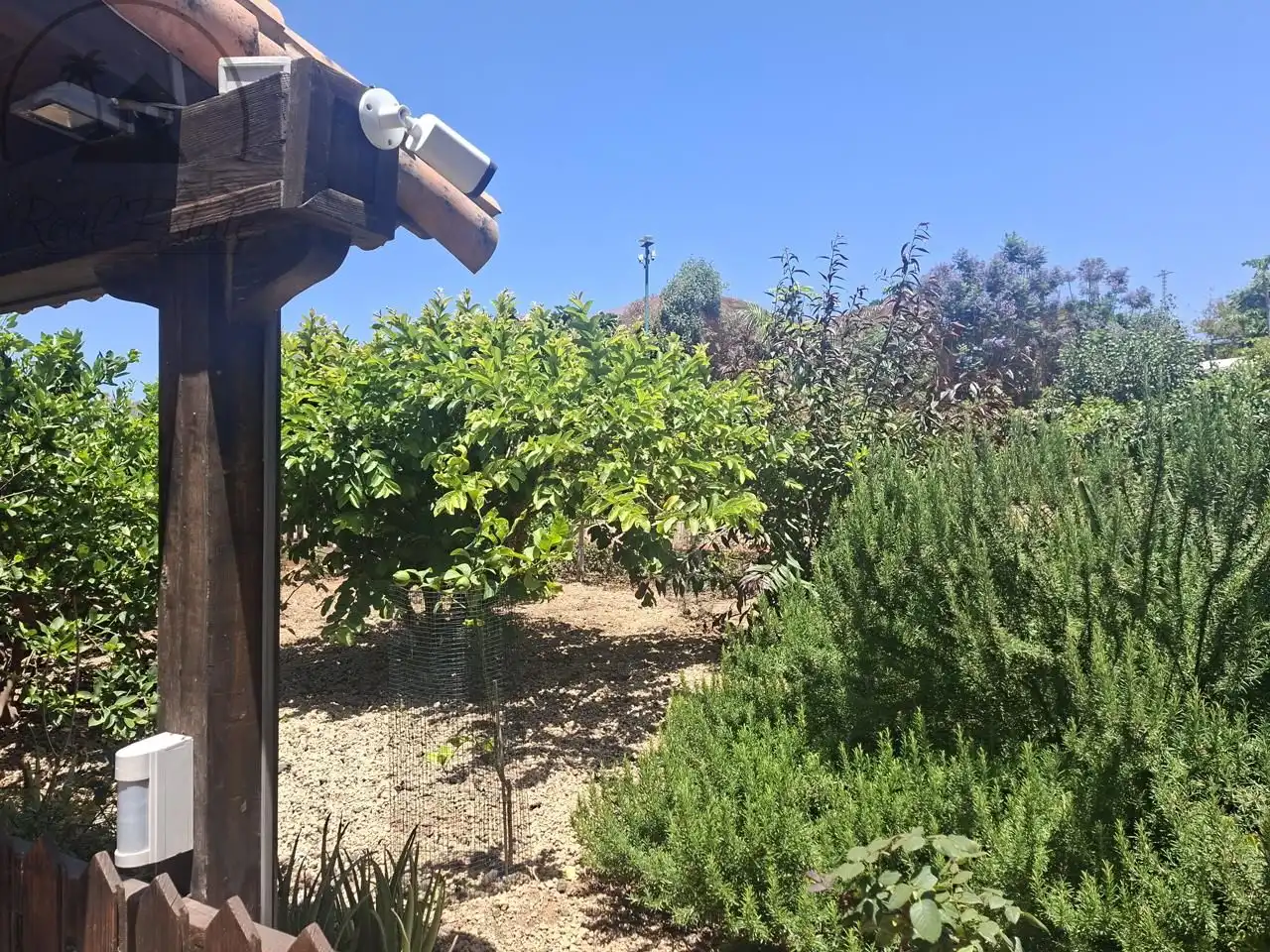 Jardí de Casa o xalet en venda en San Pedro del Pinatar amb Piscina
