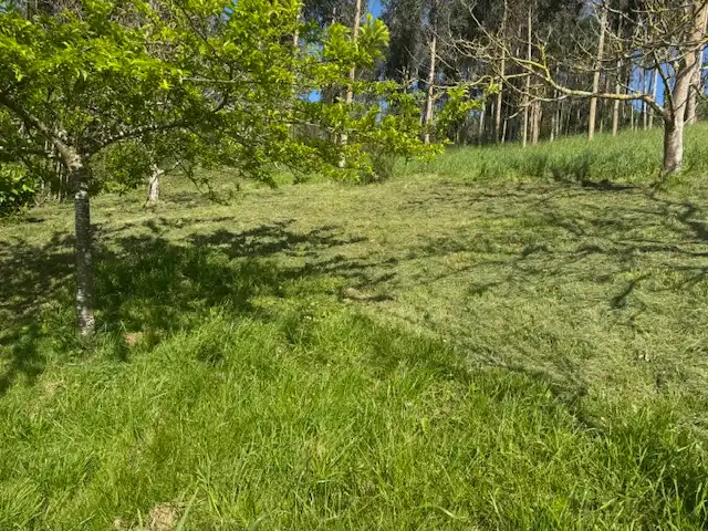 Casa o xalet en venda en Castropol