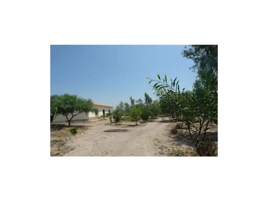 Finca rústica en venta en LOS PEDREGALES, Huércal-Overa