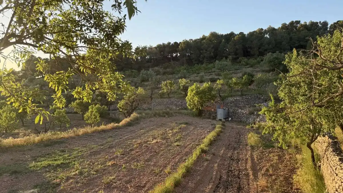 Casa o xalet en venda en La Fatarella amb Jardí privat