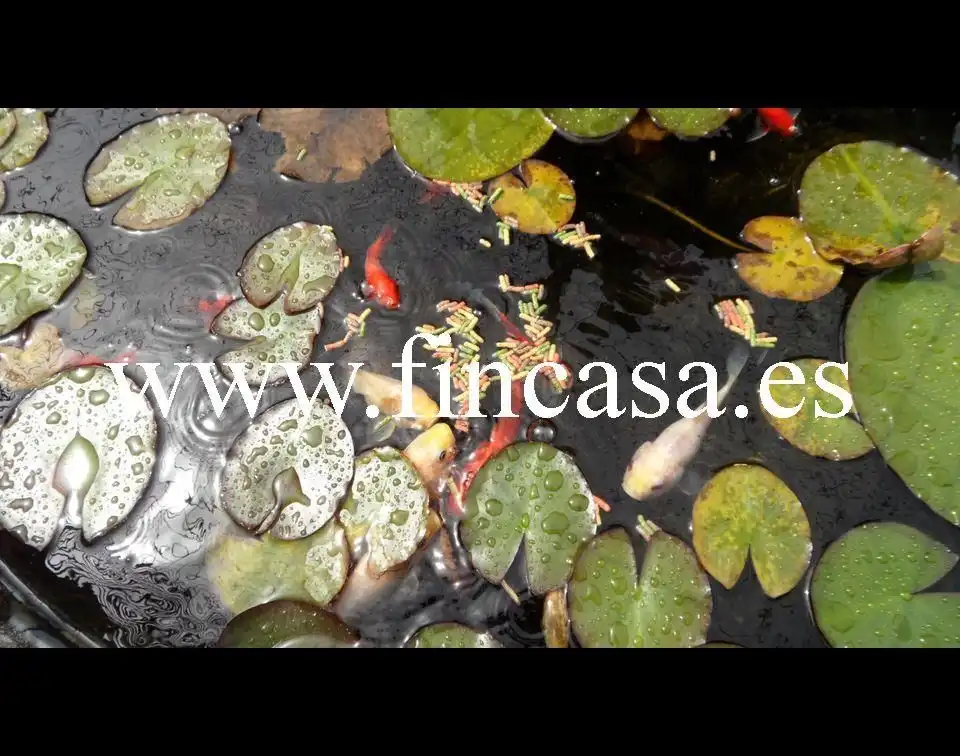 Xalet amb terrassa en venda a Baiona, imagen 9