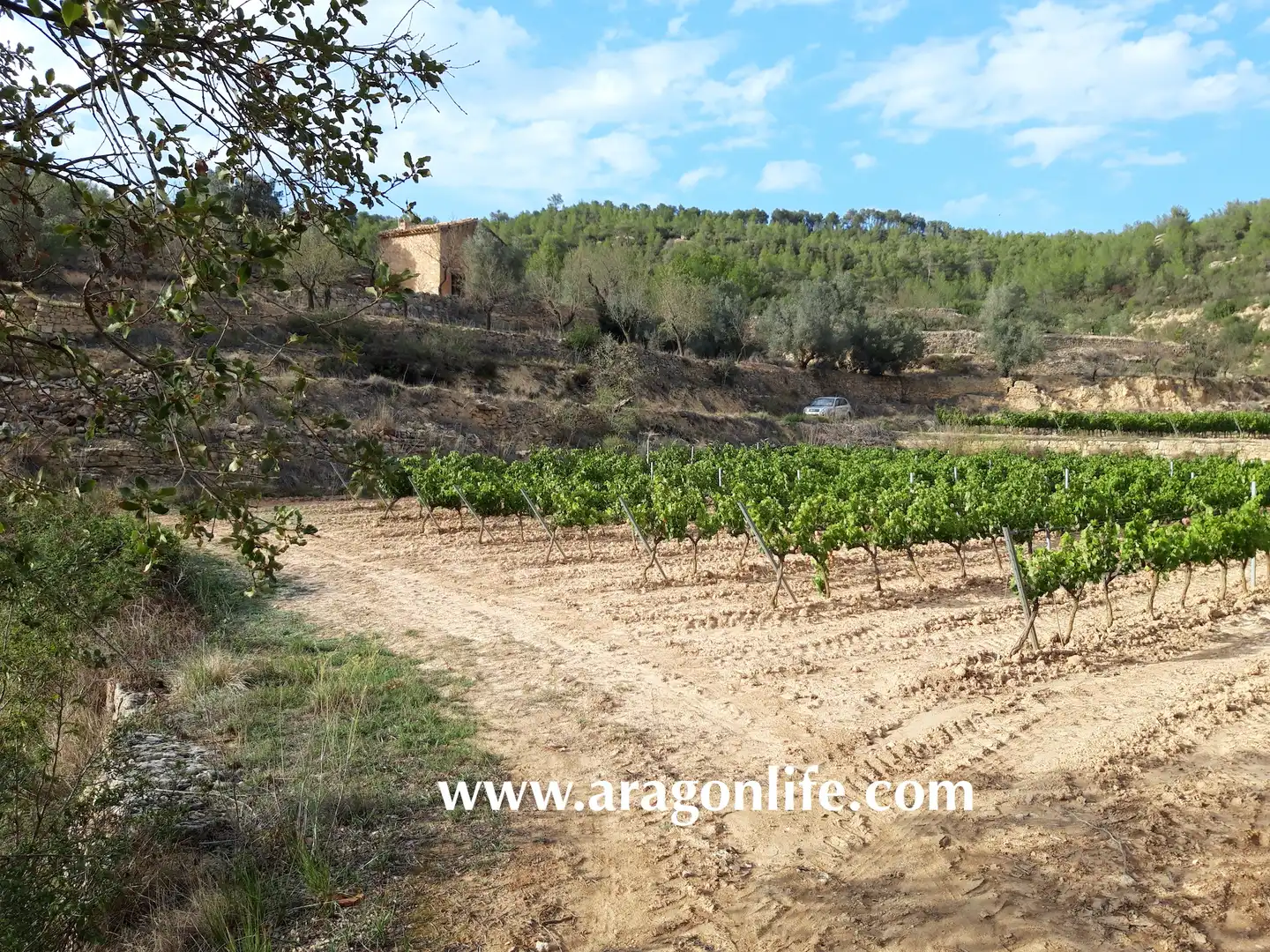 Finca rústica en venda en Caseres