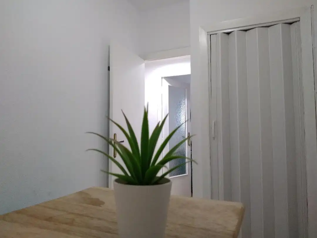 Apartament amb ascensor en venda a Passeig Maritim 9 d'Octubre, imagen 6
