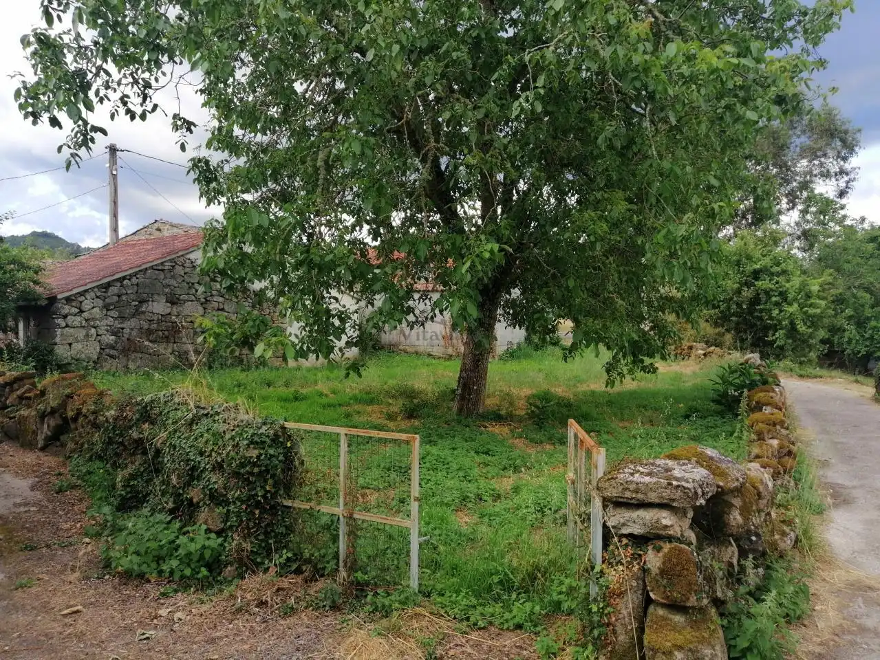 Finca rústica en venda en O Pereiro de Aguiar  amb Jardí privat