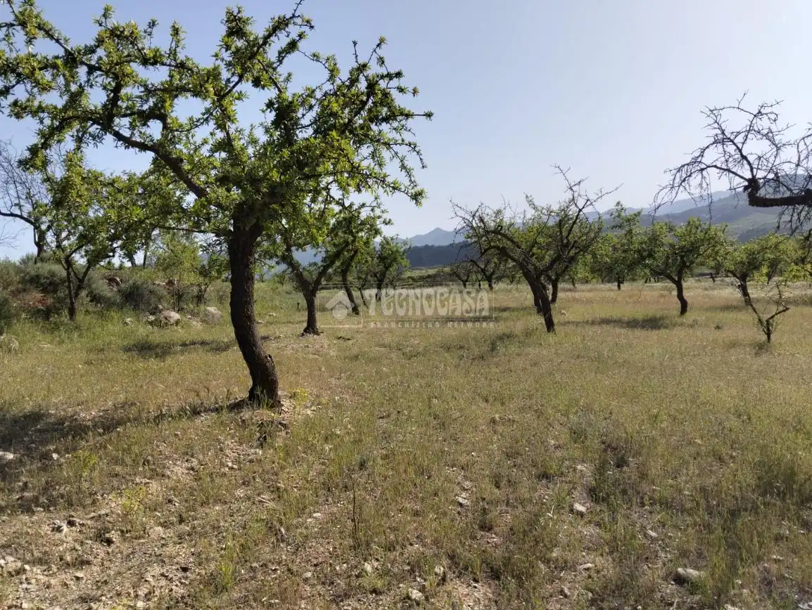 Rural land for sale in Dúrcal, imagen 14