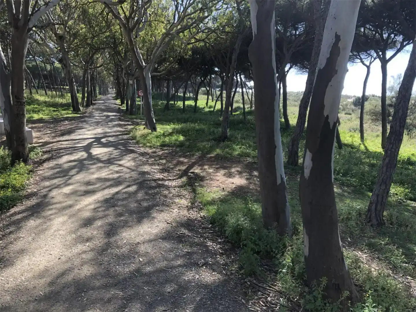 Vista exterior de Pis de lloguer en Urbasur