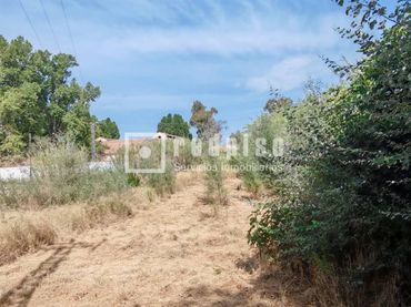 Terreny residencial en venda a Carretera Alcantarilla 0