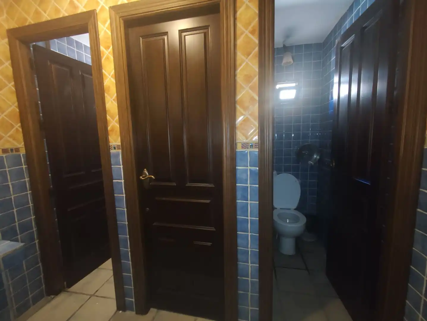House with terrace for sale in GRANADA 29, imagen 28
