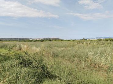 Wohnbaugrundstück zum Verkauf in Avinguda la Vall Farta 36