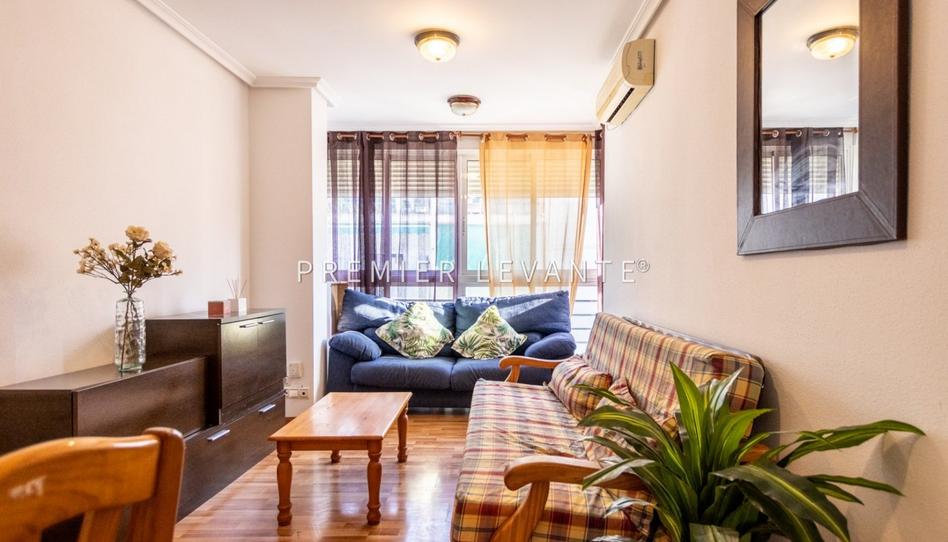 Photo 1 of Flat to rent in Calle Profesores Hermanos Muñoz, San Fernando - Princesa Mercedes, Alicante