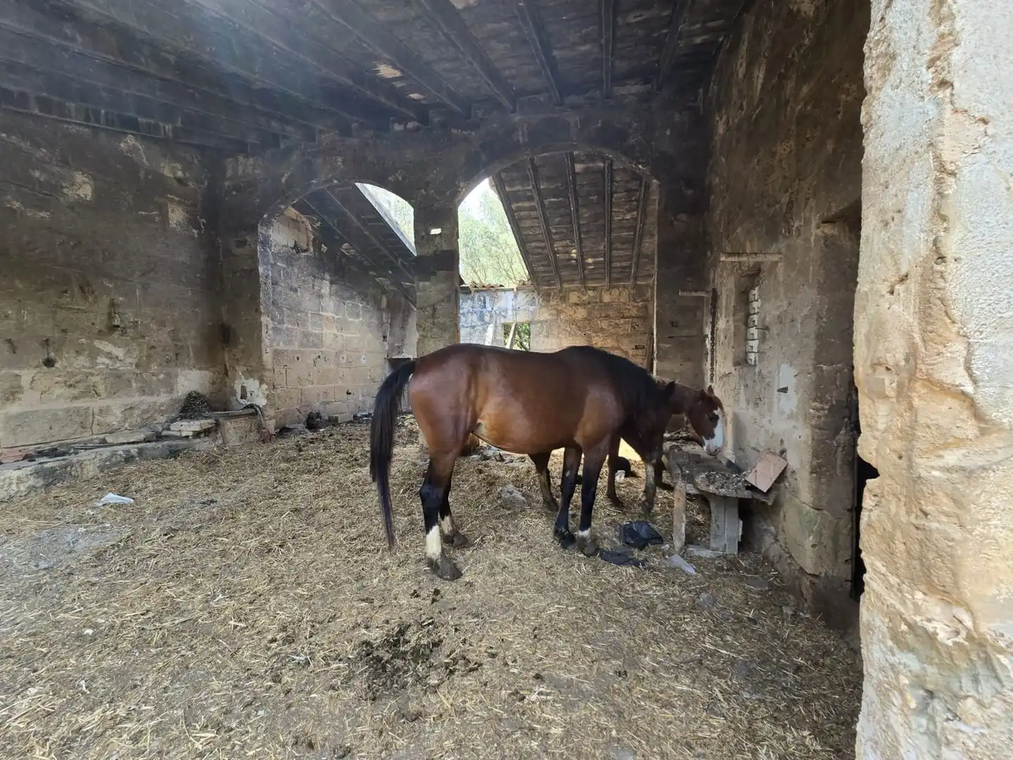 Vista exterior de Finca rústica en venta en  Palma de Mallorca con Jardín privado, Terraza y Trastero
