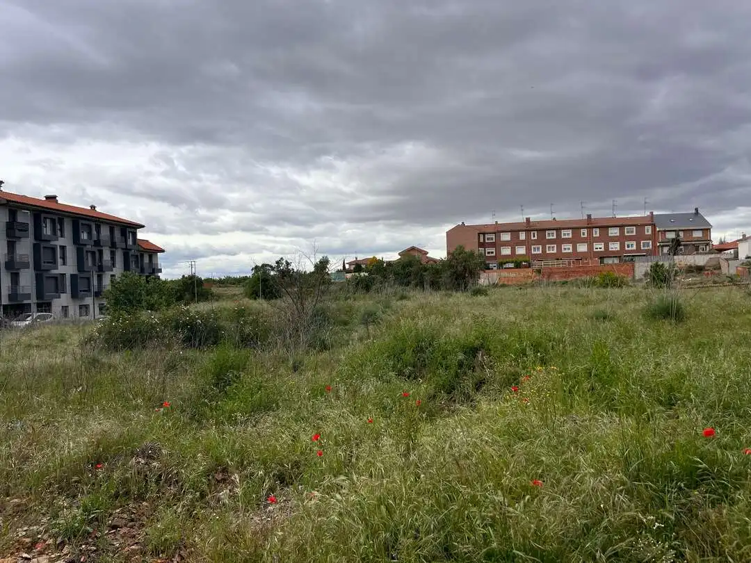 Terreni e lotti in vendita a Valencia de Don Juan, imagen 2