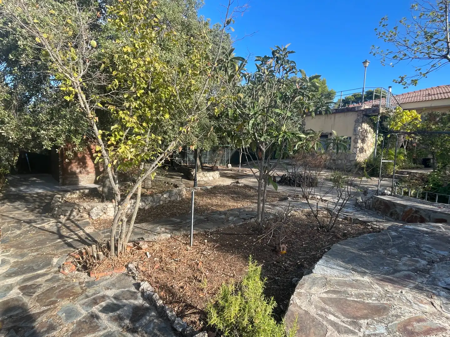 Jardín de Casa o chalet en venta en Albalate de Zorita con Calefacción, Jardín privado y Terraza