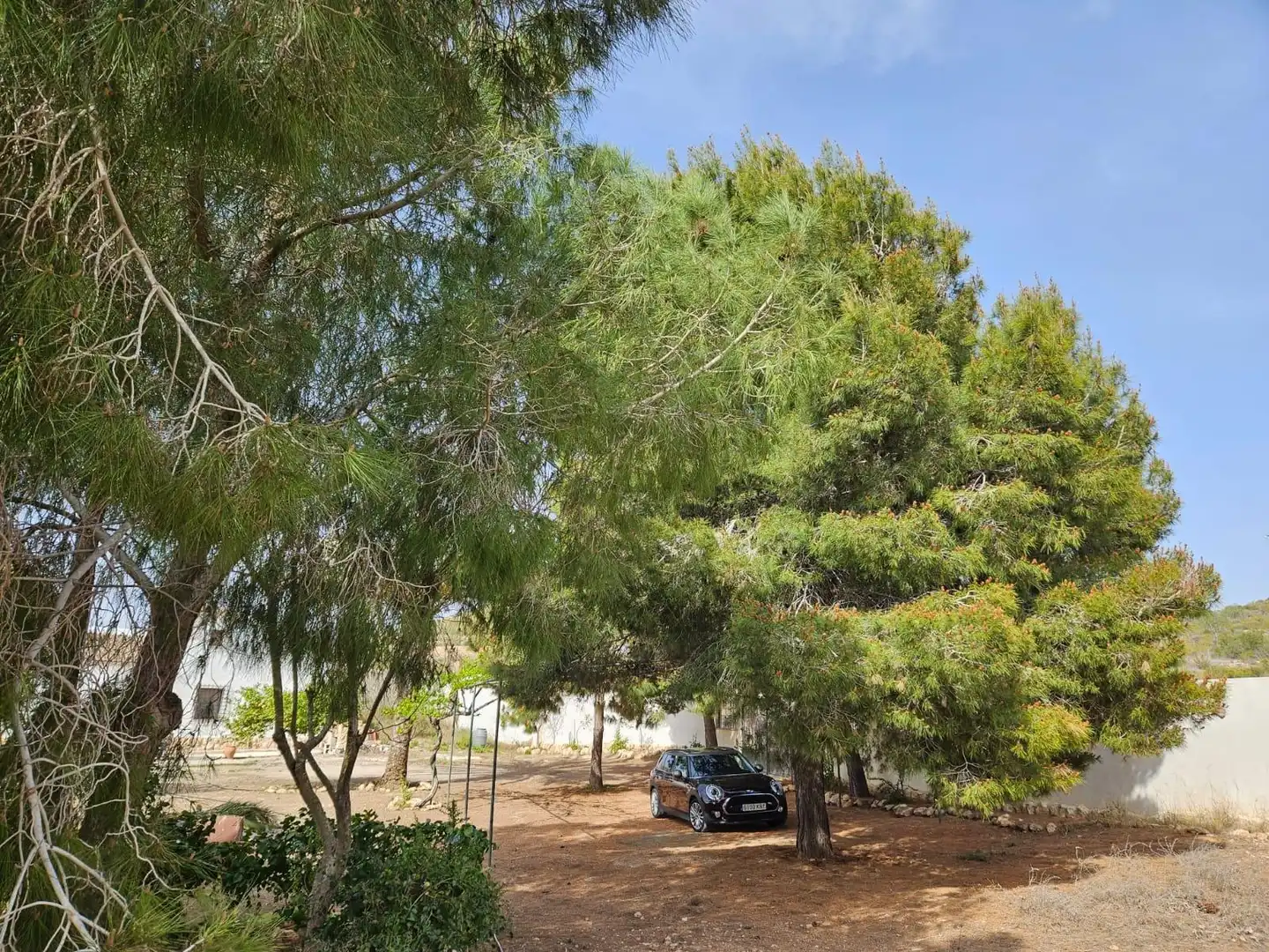 Casa rústica en venta en La Pinilla - Las Palas, imagen 20