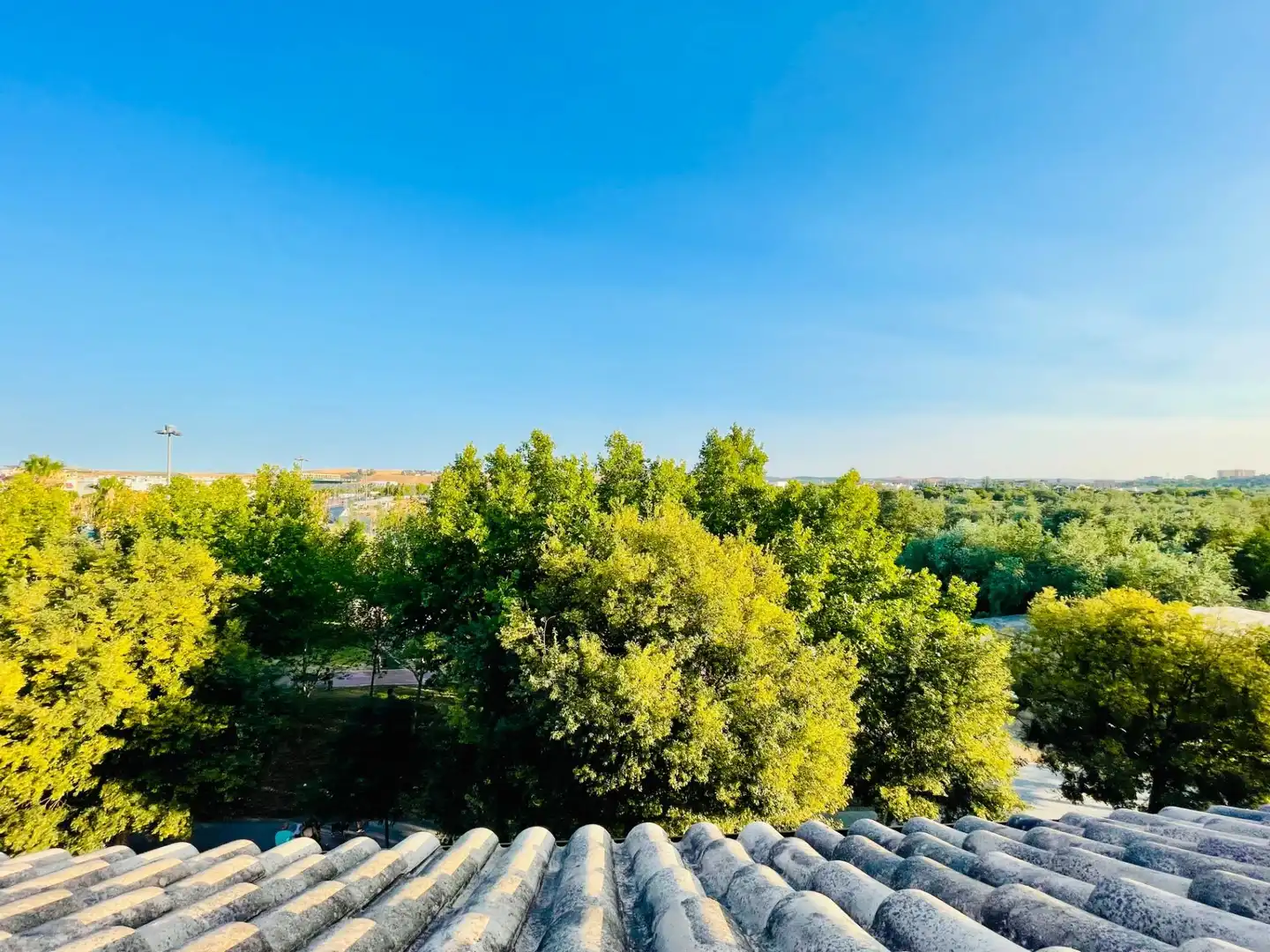 Vista exterior de Dúplex en venda en Córdoba amb Calefacció, Terrassa i Balcó