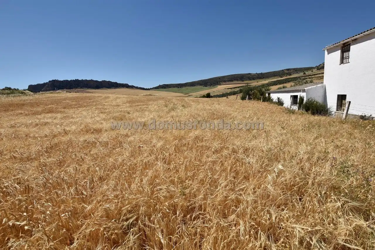 Terreny residencial en venda a Cuevas del Becerro, imagen 16