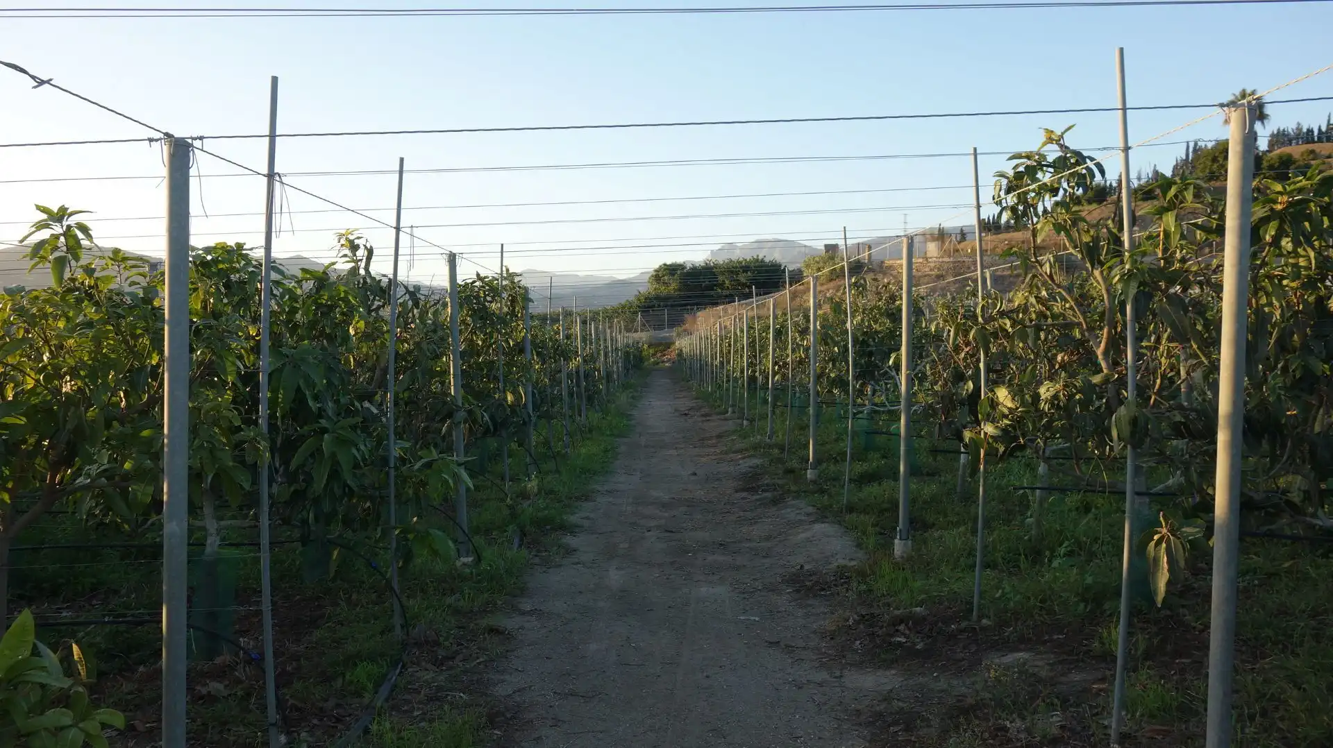Casa rústica en venda a Motril  ciudad, imagen 7