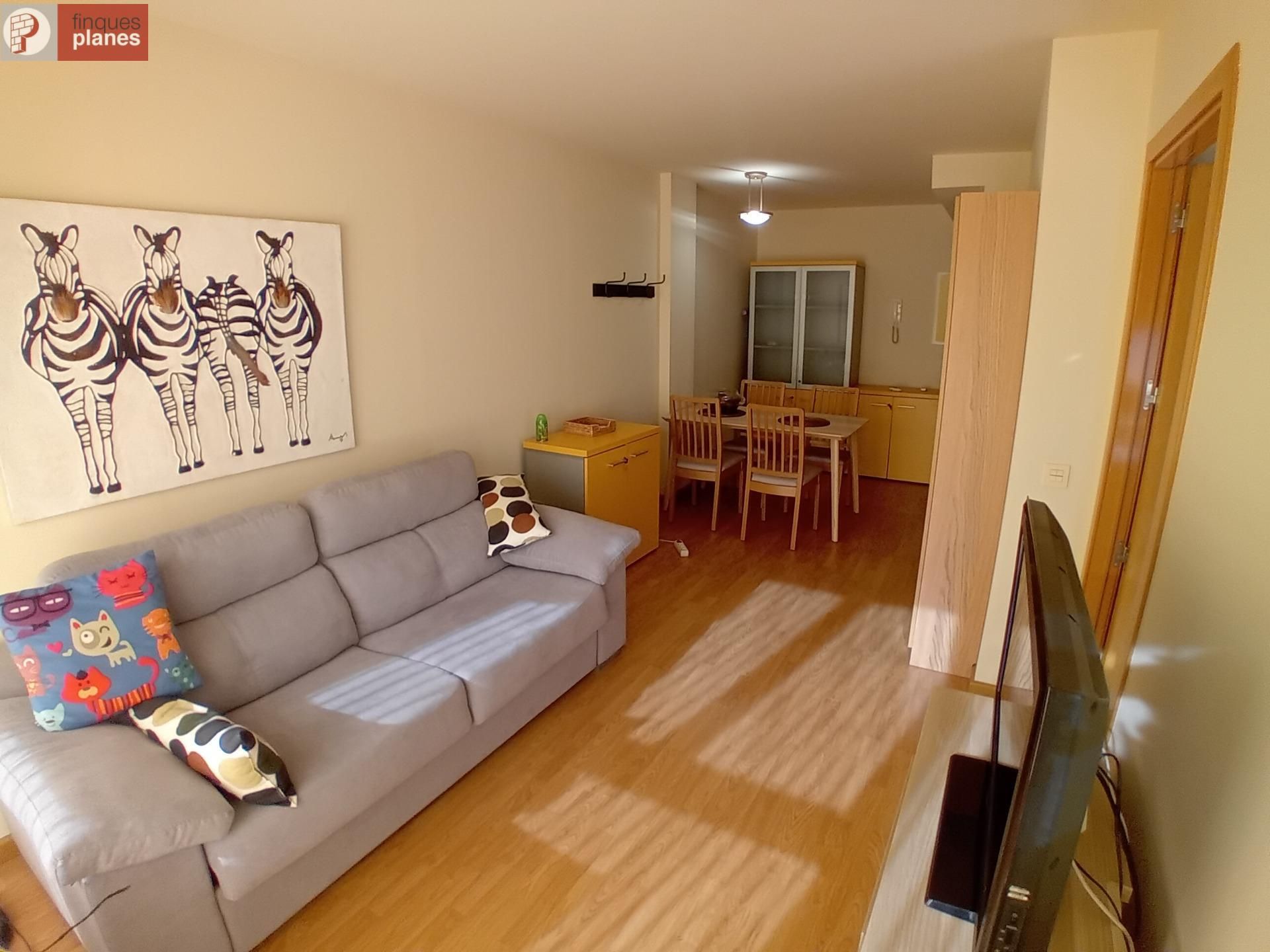 Living room of Duplex for sale in Coll de Nargó  with Balcony