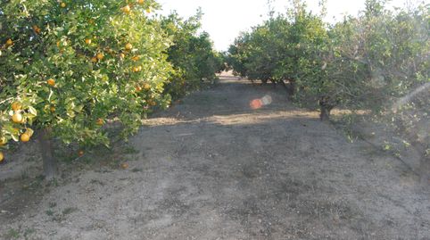 Photo 3 of Houses for sale in Cañada del Fenollar, Alicante / Alacant