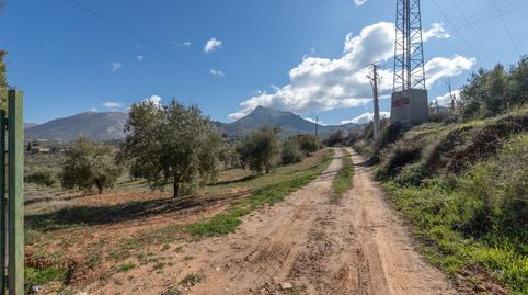 Terreno rústico en Cogollos Vega, con toma de luz y agua en la entrada, imatge 3