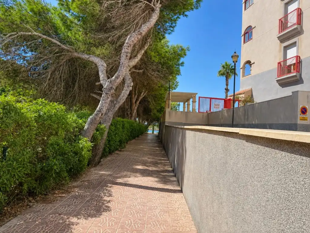 Apartament amb piscina en venda a Calle Vicente Molina-La Manga, imagen 21
