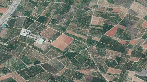 Foto 5 de Finca rústica en venda a Betxí, Castellón