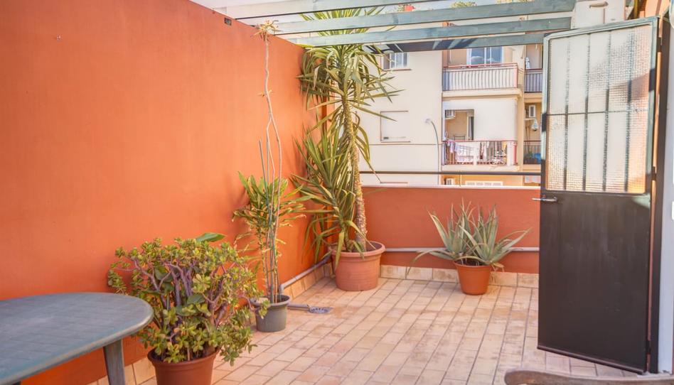 Photo 1 of Duplex to rent in Los Molinos, Sevilla