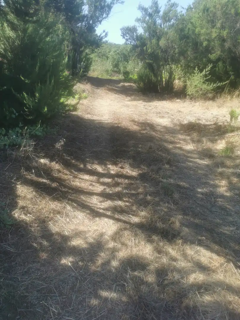 Grundstücke zum Verkauf in El Tanque, Santa Cruz de Tenerife