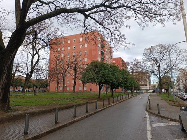 Piso en Venta en Avenida de las Razas en Sector Sur  - La Palmera - Reina Mercedes