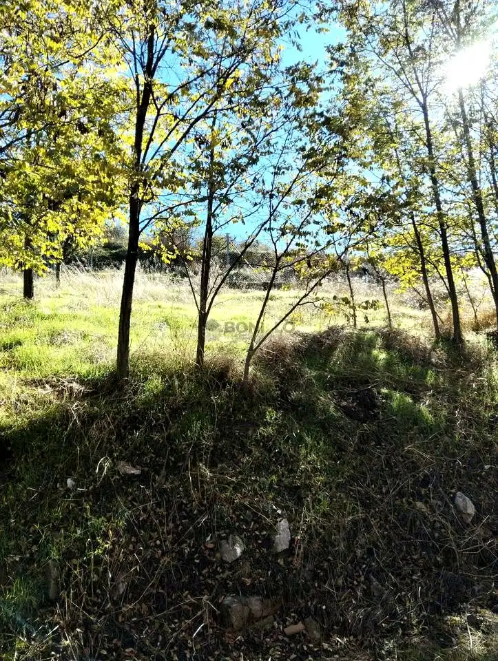 Terreny industrial en venda en Camarena de la Sierra