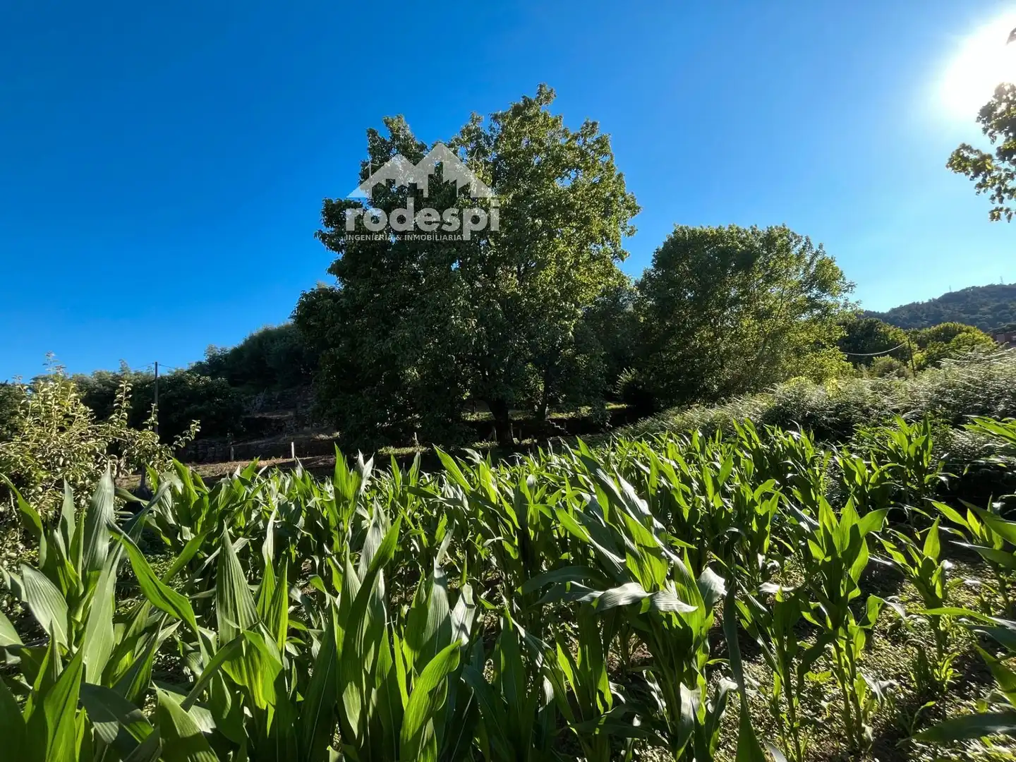 Adossat en venda a Leiro, imagen 7