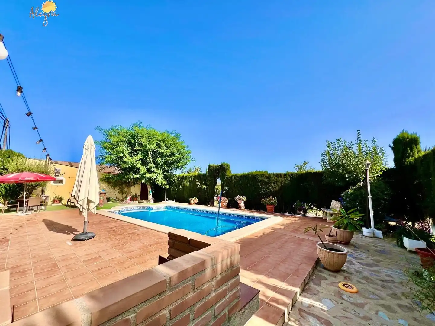 Piscina de Casa o xalet en venda en Daya Vieja amb Aire condicionat, Calefacció i Jardí privat