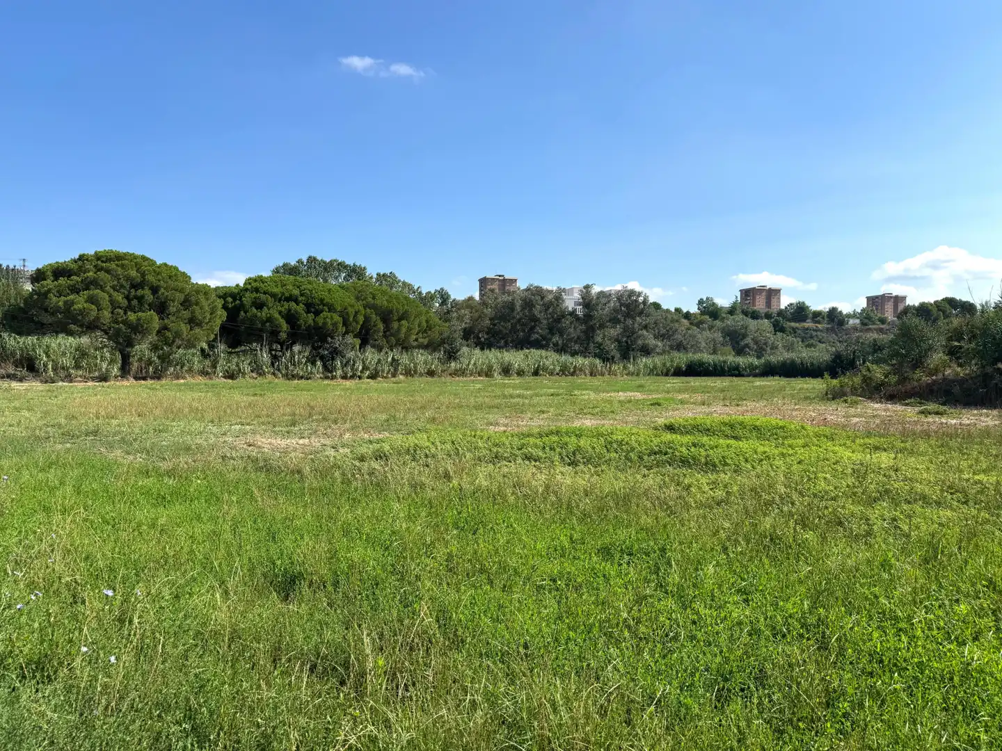 Terreno rústico en venta en Martorell, imagen 4