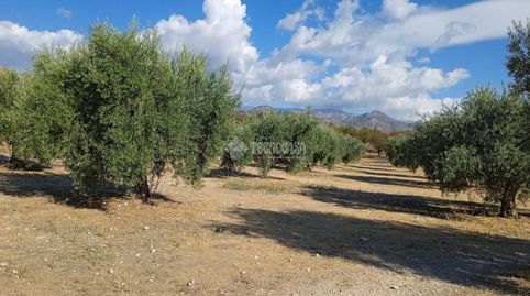 Foto 2 de Terreno en venta en Gójar, Granada