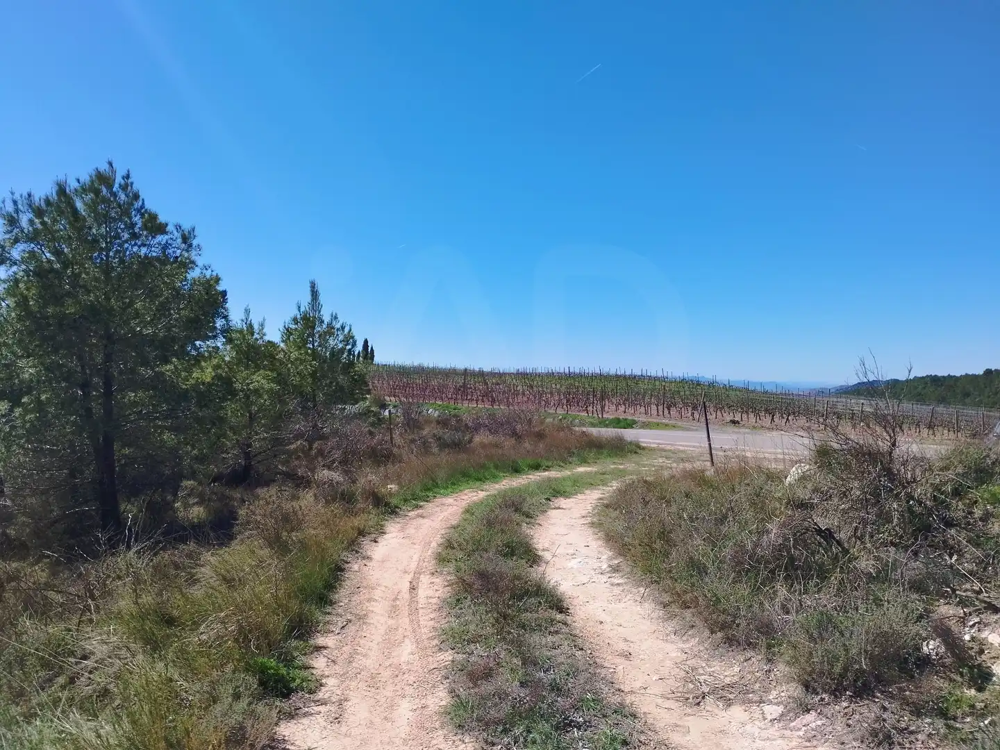 Terreno en venta en La Morera de Montsant