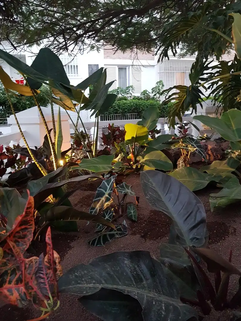 Jardín de Casa o chalet en venta en Santa Cruz de Tenerife con Jardín privado y Terraza