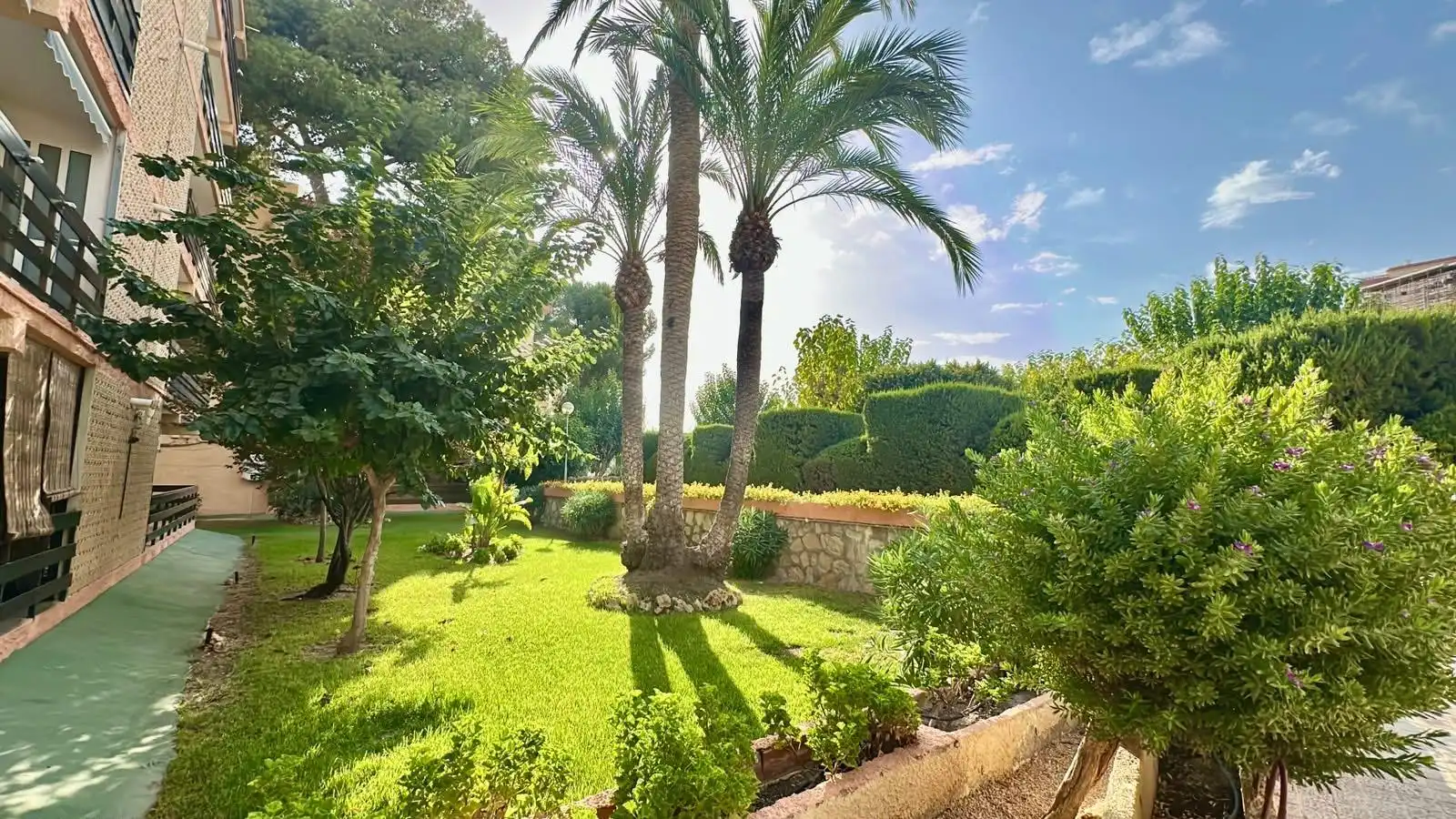 Ground floor with pool for sale in Calle de Petrer, imagen 23