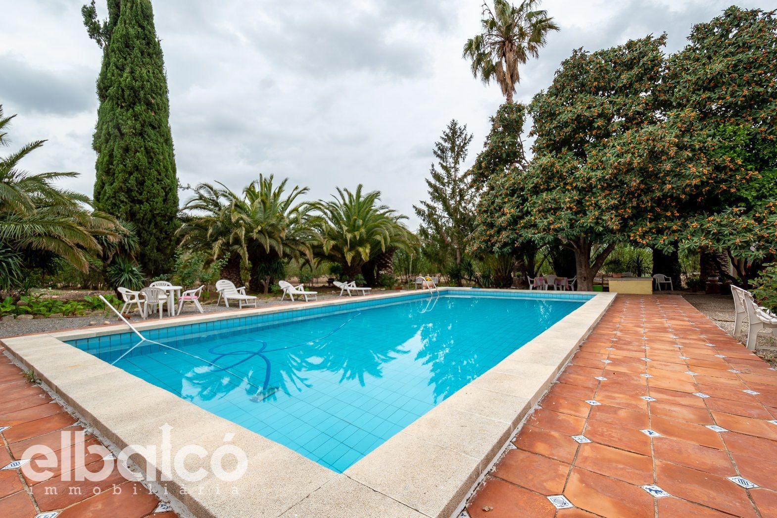 Swimming pool of House or chalet for sale in Valls  with Terrace and Swimming Pool
