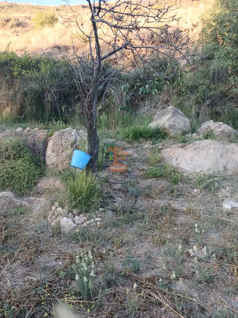 Terreni e lotti in vendita a Calle Gotor, imagen 43